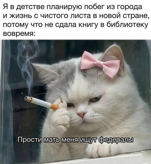 Снимок экрана 2026-10-27 072601.png